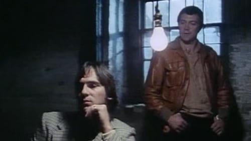 The Professionals, S04E09 - (1980)