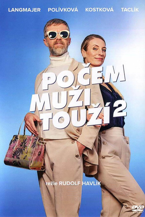 Po čem muži touží 2 poster