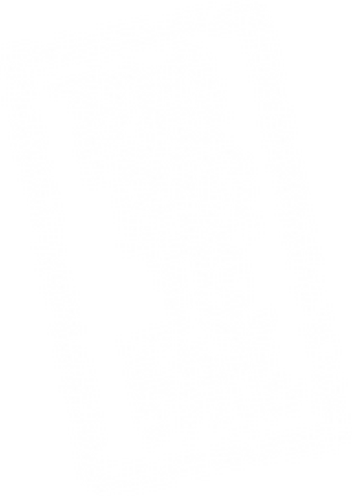 Too Big to Fail