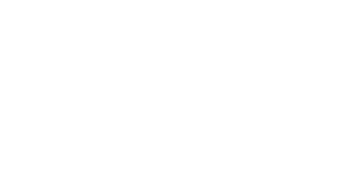 Pixie Hollow Games