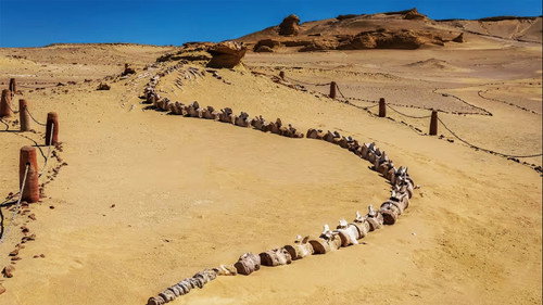 Egypt's Secret Valley of the Whales