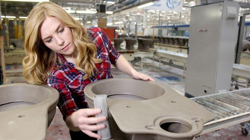 Toilet Flush and Toilet