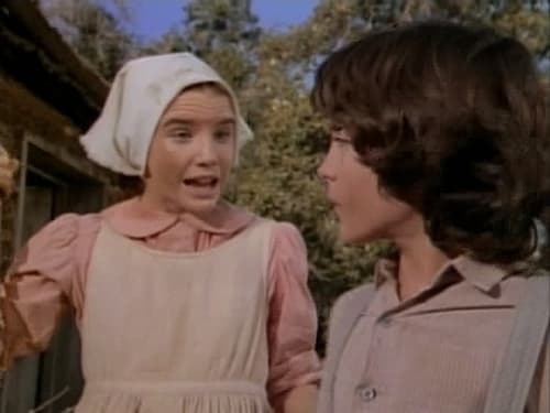 Poster della serie Little House on the Prairie