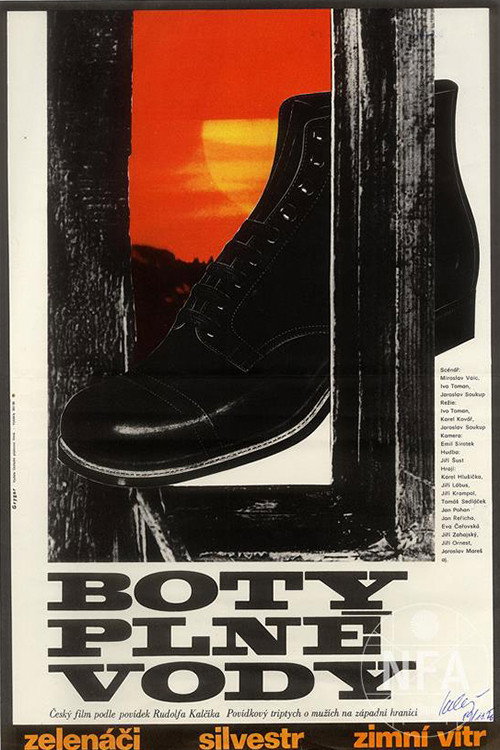 Boty plné vody poster