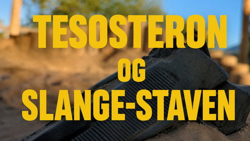 TESTOSTERON OG SLANGE-STAVEN Backdrop Blur