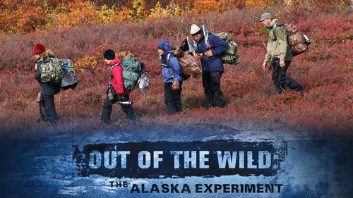 Out of the Wild Backdrop Blur