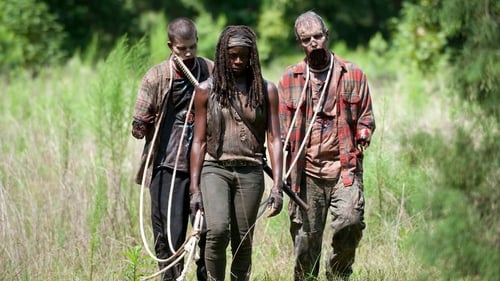 The Walking Dead: 4×9