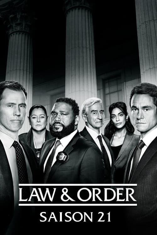 New York District / New York Police Judiciaire - Saison 21