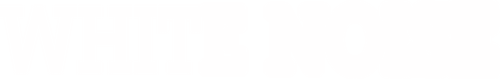 White Noise