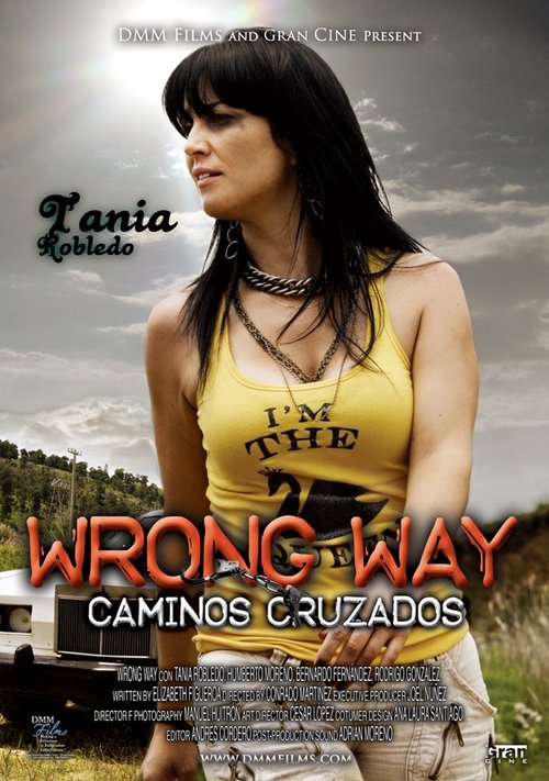 Caminos Cruzados movie poster player