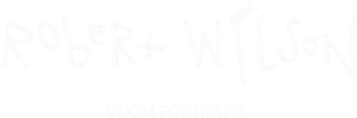 Voom Portraits