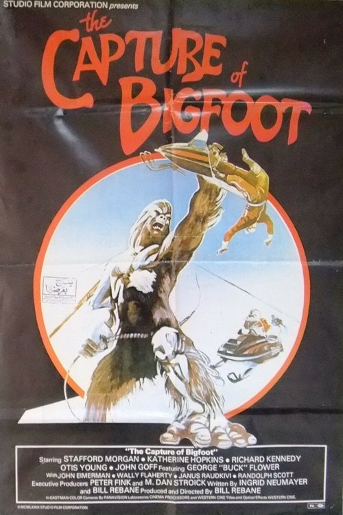 Poster 4