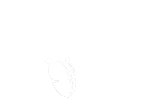 The Turkey Bowl