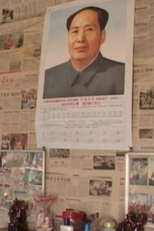 有毛的房间 movie poster player