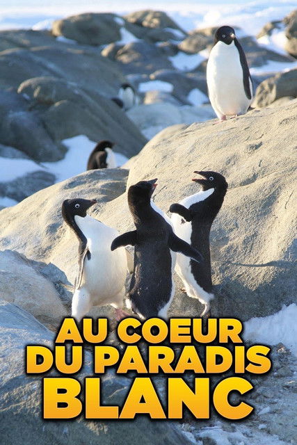 Escena 3 de 남극의 눈물