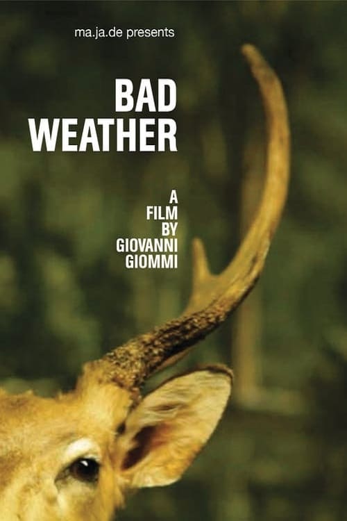 Bad Weather (2011)