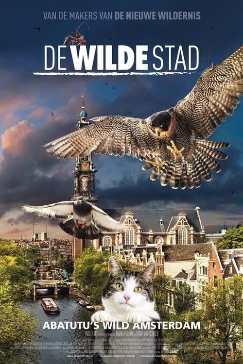Schauen Wild Amsterdam On-line Streaming