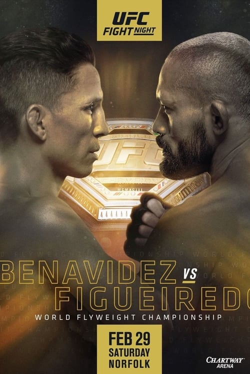 UFC Fight Night 169 Benavidez vs. Figueiredo 2020