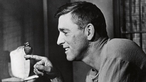 Birdman of Alcatraz — still 13