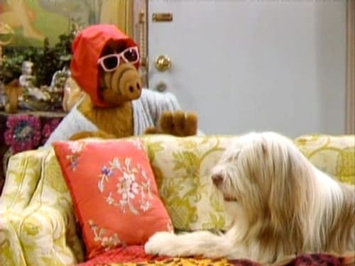 Poster della serie ALF