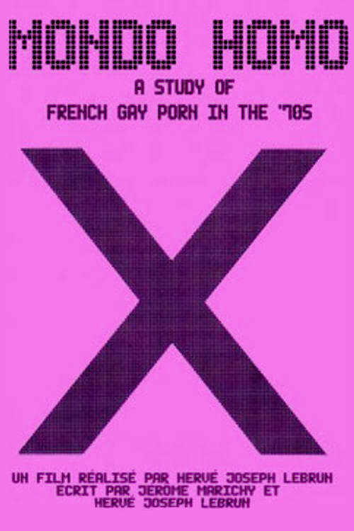Mondo Homo: Inquiry Into 70's Gay French Porn (2009)