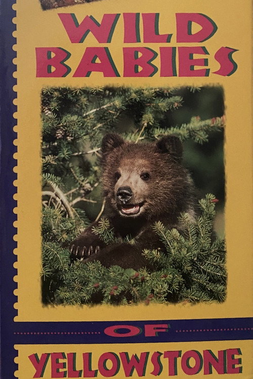 Wild Babies of Yellowstone