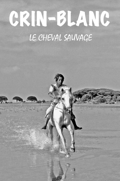 White Mane poster