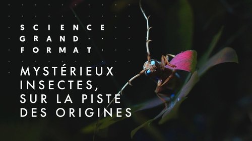 Image de l'épisode 11