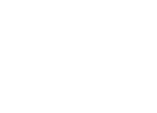 Y: The Last Man