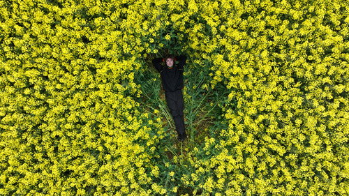 David Keenan - Words on Canvas