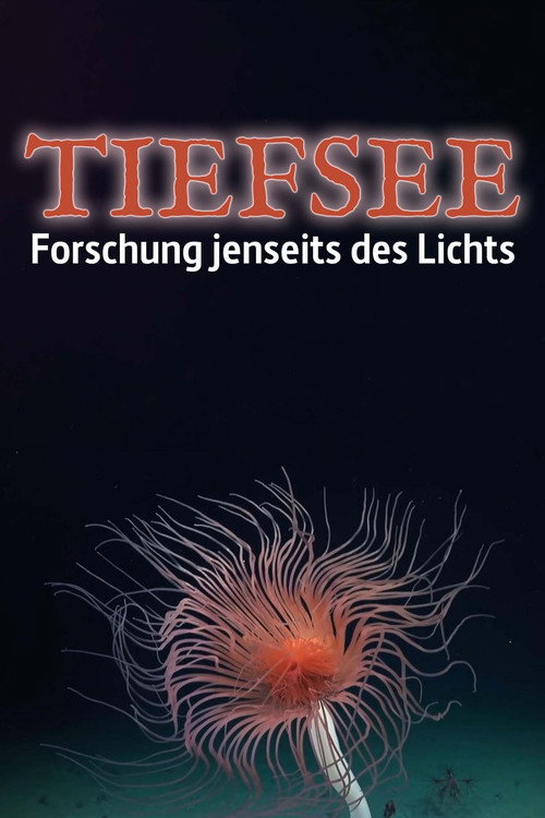 Tiefsee - Forschung jenseits des Lichts