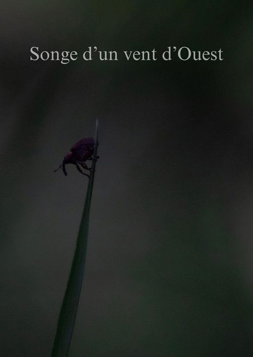 Songe d'un vent d'Ouest