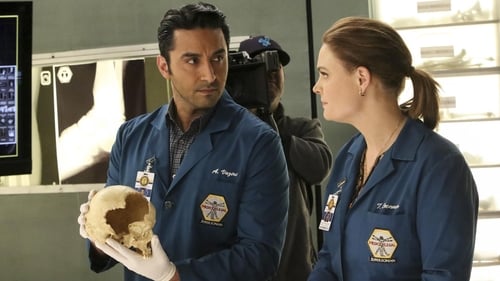 Poster della serie Bones