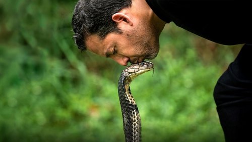David Blaine Do Not Attempt