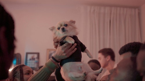 Home Invasion (Short 2025) still