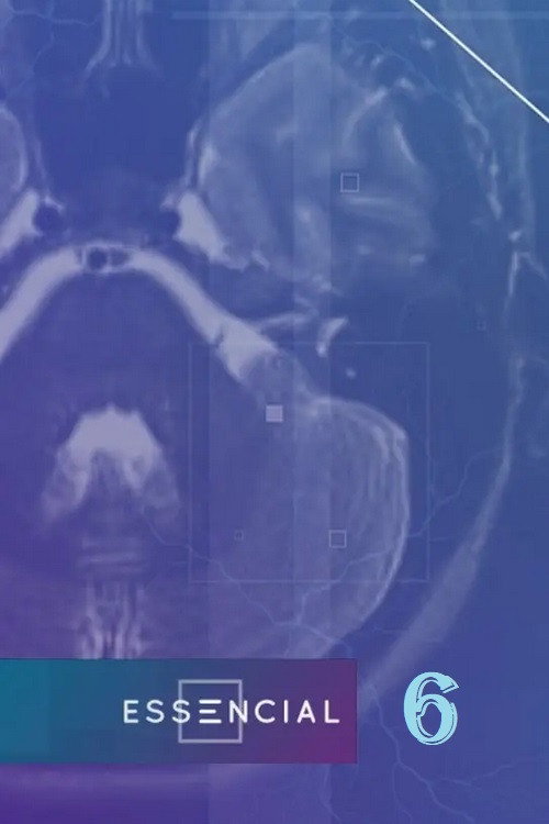 Season 6 (2025) - Season 6 poster and promotional image