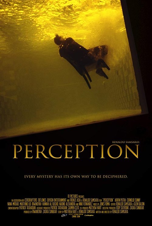 Persepsi movie poster player