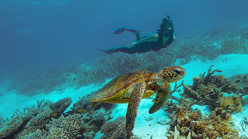 Deep Dive... Backdrop Blur