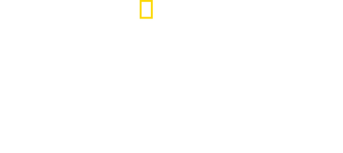 Dino Death Match
