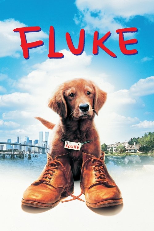 Fluke (1995)