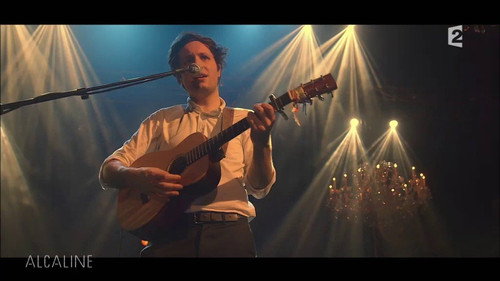 Vianney - Alcaline le Concert