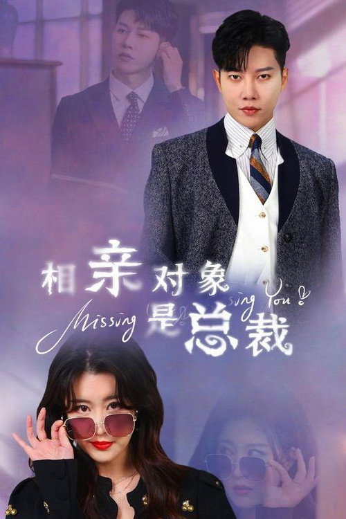 相亲对象是总裁