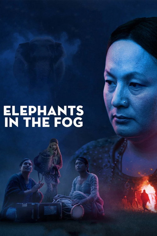 Elephants in the Fog