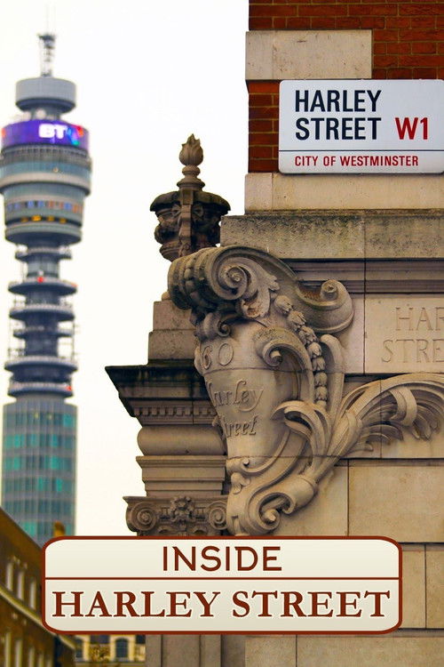 Inside Harley Street (2015) poster