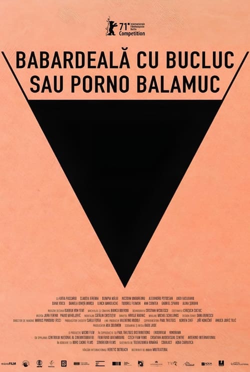 Babardeala cu bucluc sau porno balamuc (2021) poster
