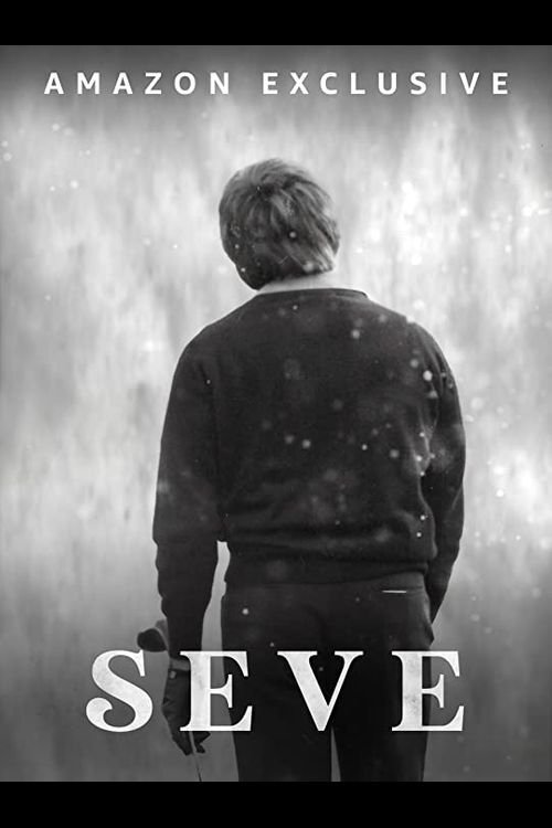 Seve movie poster player