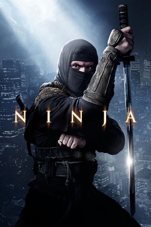 Ninja: Shadow of a Tear poster