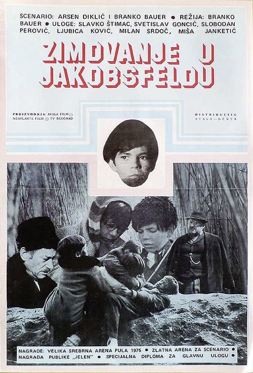 Зимовање у Јакобсфелду (1975) poster