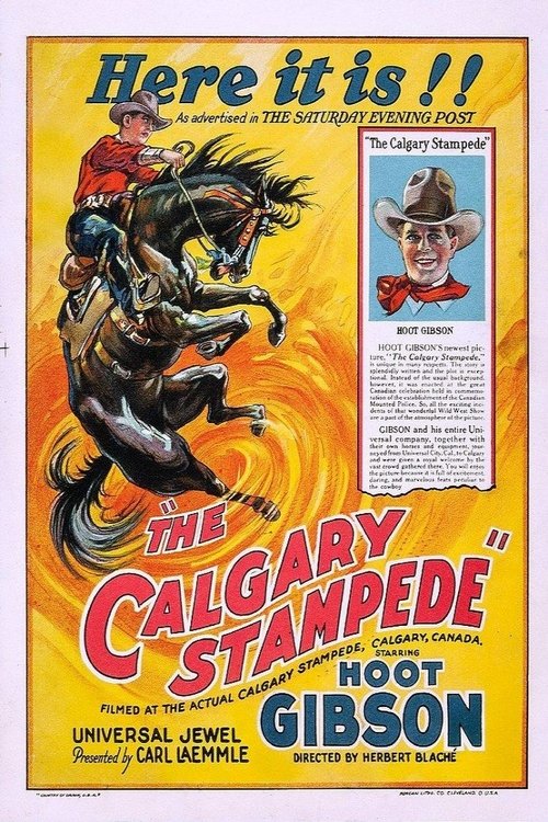 Poster 3