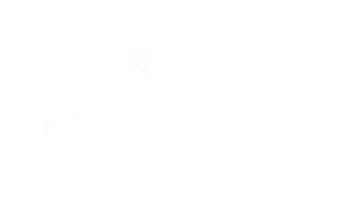 김부장